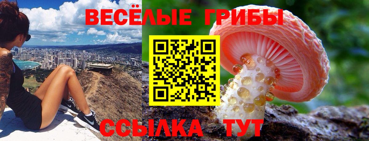 Галлюциногенные грибы ЛСД  Вход с VPN  Псилоцибиновые грибы GOLDEN TEACHER  Йошкар-Ола 